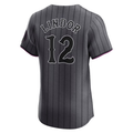 RONEY NY.Mets #12 Francisco Lindor Gray City Connect Elite Stitched Jersey